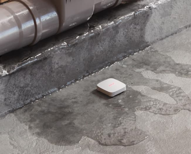 Détecteur LeaksProtect sur sol humide